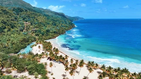Drone view of white palm sand beach Rincon, Dominican Republic. Stock Footage 306235068