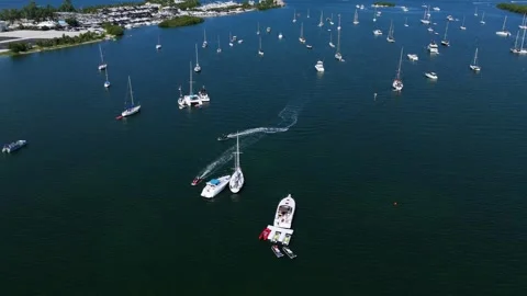 Drone view on white private boats moored in bay near Miami Marine Stadium in Stock Footage 256779596