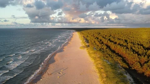 A drone view of a wild beach and forest in Gdańsk, Sobieszewo Island. Stock-Footage 211299712