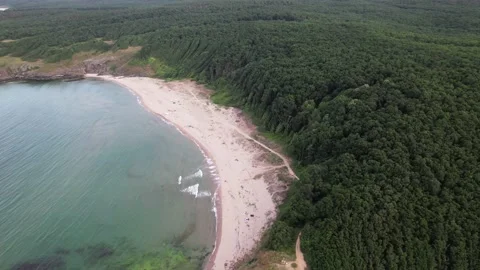 Drone view of wild beach at Black Sea coast in Bulgaria. 4K Drone Video Stock Footage 175931418