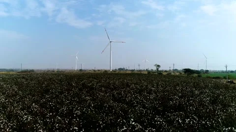 Drone View of Wind Turbines Across Agricultural Fields in Gujarat, India 02 Stock Footage 341387745