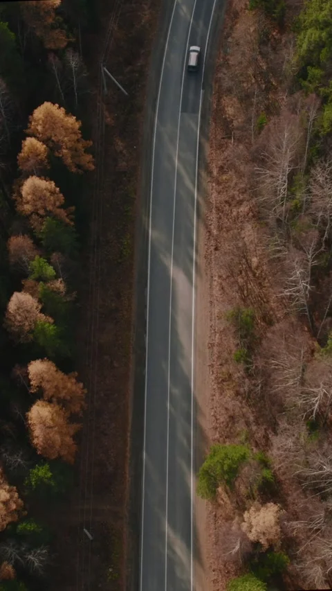 Drone view of winding forest road in early spring Ural Mountains, Russia Stock Footage 346559015