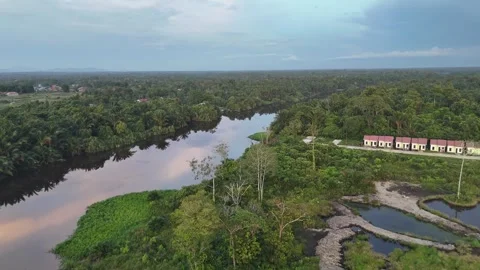 Drone View of Winding Kapuas River Bordered by Coconut Trees and Houses Stock Footage 334173240