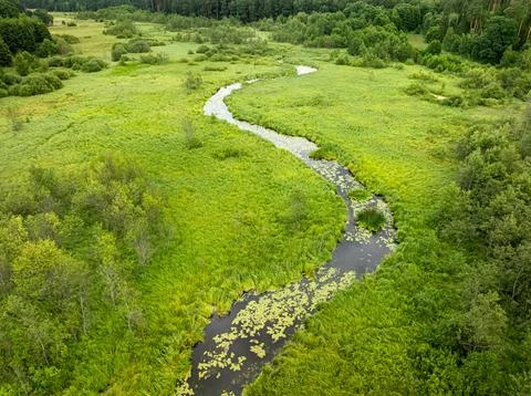 Drone view of winding river cutting through green Polish forest. Stock Photos