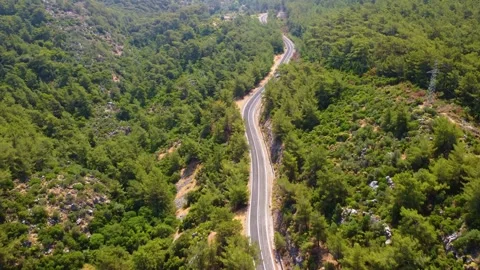 Drone View of Winding Road Through Lush Green Forest, Cennet Koyu, Turkey Stock Footage 318117334