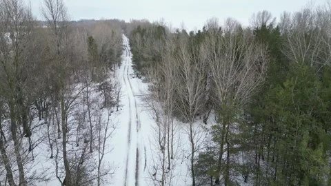 Drone view of a winter forest road rising above the trees Stock-Footage 348263790