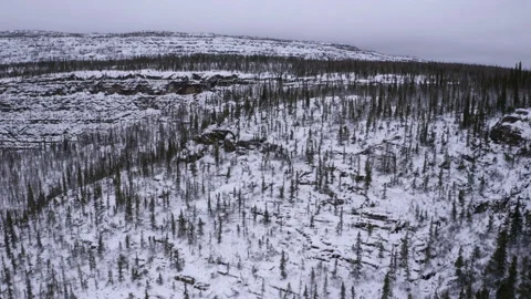 Drone view of winter forest on rocky mountain range, Northwest-Territories, Cana Stock Footage 244646695