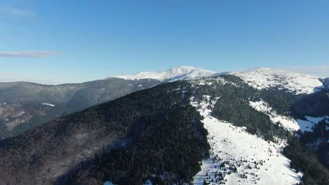 Drone view of the winter forest in the snowy mountains. Carpathians. Ukraine. Stock Footage 169224069