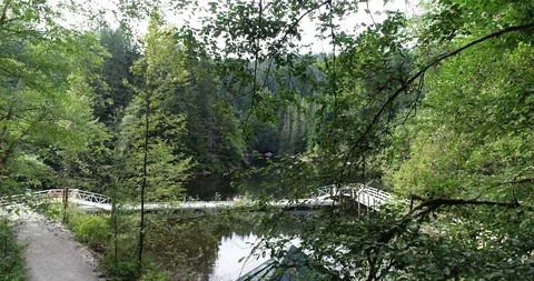 A drone view of the woods and a lake in between Stock Footage 93688872