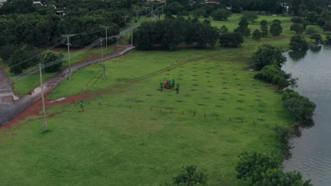 Drone view of workers planting trees for reforestation Stock-Footage 345102372