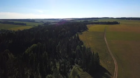 Drone views over deep green forest Stock Footage 105274928
