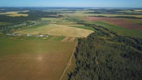 Drone views over deep green forest and fields Stock Footage 105274997