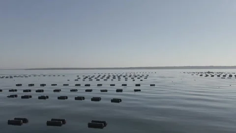 Drone Views of Rhode Island Oyster Farms – Aerial Shots of Aquaculture 스톡 동영상 297701909