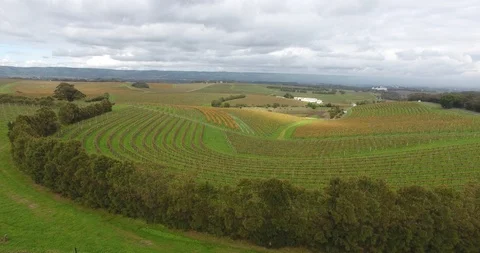 Drone Winery Stock Footage 92114967