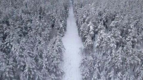 Drone winter forest powerline Stock Footage 272634140