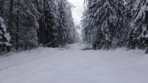 Drone winter forest powerline Stock Footage 272634230