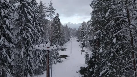 Drone winter forest powerline Stock Footage 272634237