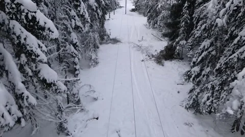 Drone winter forest powerline Stock Footage 272637362