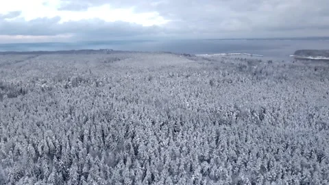Drone winter forest with powerline Stock Footage 272637603