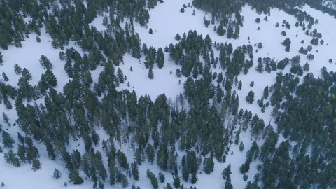 Drone winter landscape of snow and woods 4K (1) Vídeos de archivo 112303391