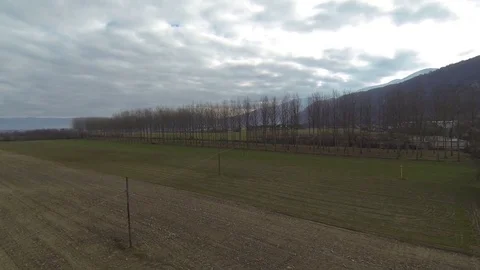 Drone on winter lawns Stock Footage 71576756