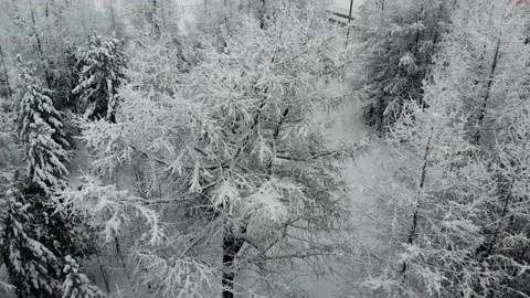 Drone winter park 動画素材 169426485