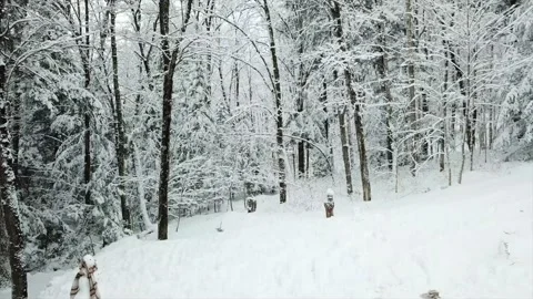 Drone winter winterland Stock Footage 138102602