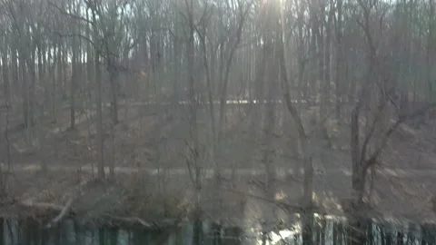 Drone woods with sun 1 Stock Footage 151479435