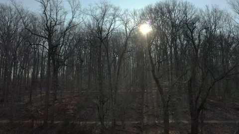 Drone woods sun 2 Stock Footage 151479339