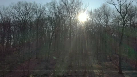 Drone woods sun 3 Stock Footage 151479238