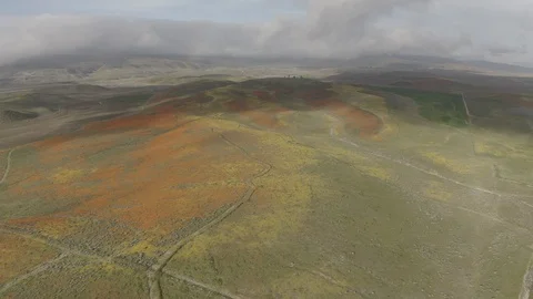 Drone Yellow Valley push in Stock Footage 114299070