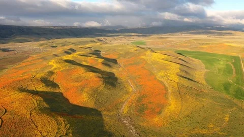 Drone Yellow Valley Timelapse Stock Footage 114299008
