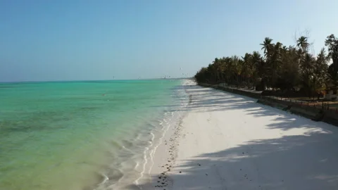 Drone at Zanzibar Beach Vidéo 308639454
