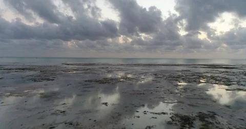 Drone Zanzibar dramatic sky low tide 03 Video stock 113038541