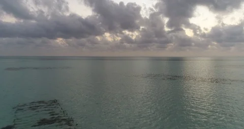 Drone Zanzibar dramatic sky low tide 05 Video stock 113050663