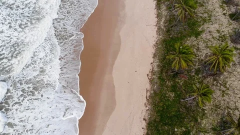 Drone zenithal waves beach coconut trees. Imbassaí beach. Bahia, Brazil. Vídeo Stock 117045930