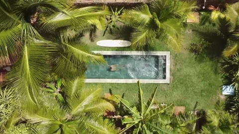 Drone Zoom-Out of Man Diving into a Pool Surrounded by Palm Trees Stock Footage 276841700