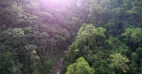 Drone zoom out over forest landscape. Stock Footage 97603365
