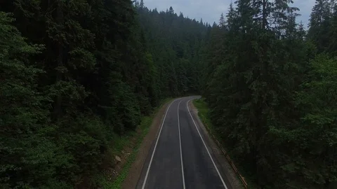 Drone zoom out from the road among thick forests Stock Footage