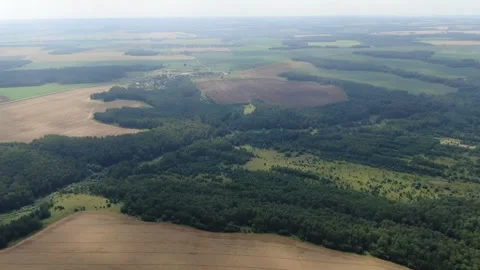 Drone zooming toward fields and forest landscape Stock Footage 333182935