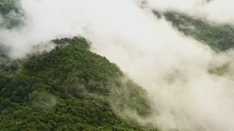 Drone06-190621-4k29.97 Video stock 155889927