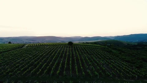 Drone13 Stock Footage 90490859