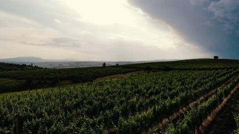 Drone14 Stock Footage 90490856