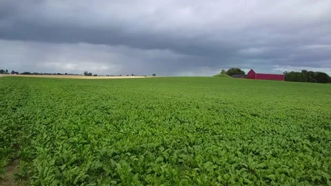 Dronecam Cropfields Hammarlov green flyover Stock Footage 136548752