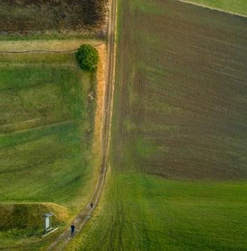 Droneception image of a man watching a tree in inception view style. Stock Photos