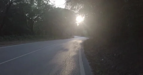 Drone/Crane Shot of Road Through Forest with Sunset Ahead Stock Footage 311940743
