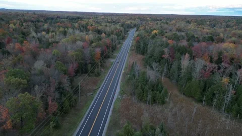 DroneFallForest001 Stock Footage 252831362