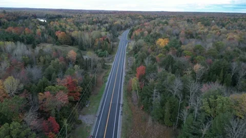 DroneFallForest005 Stock Footage 252831368