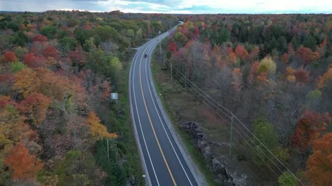 DroneFallForest009 Stock Footage 252831356