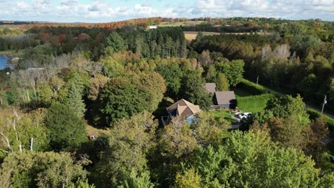 DroneFallForest011 Stock Footage 252831341